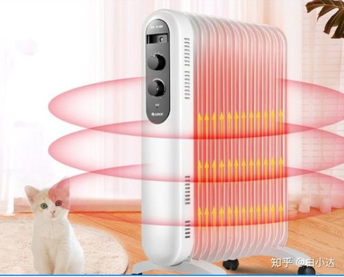 取暖器 電暖氣如何選擇 電熱油汀 電熱膜 暖風(fēng)機(jī)那款取暖器比較好 2021取暖器推薦