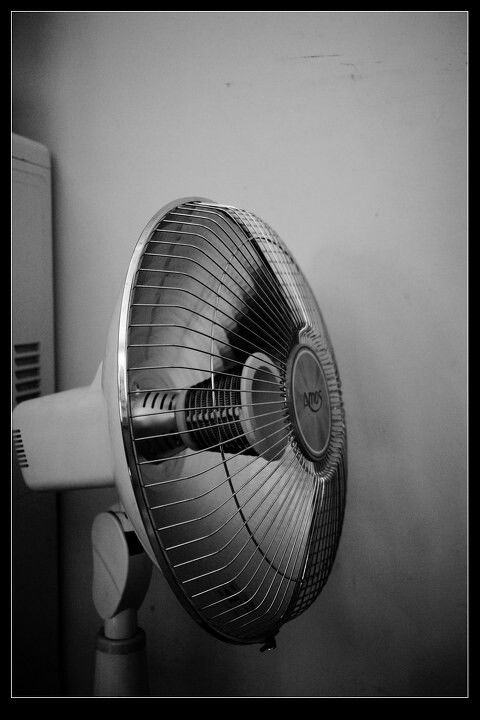 電熱風扇的原理、應用與選購指南